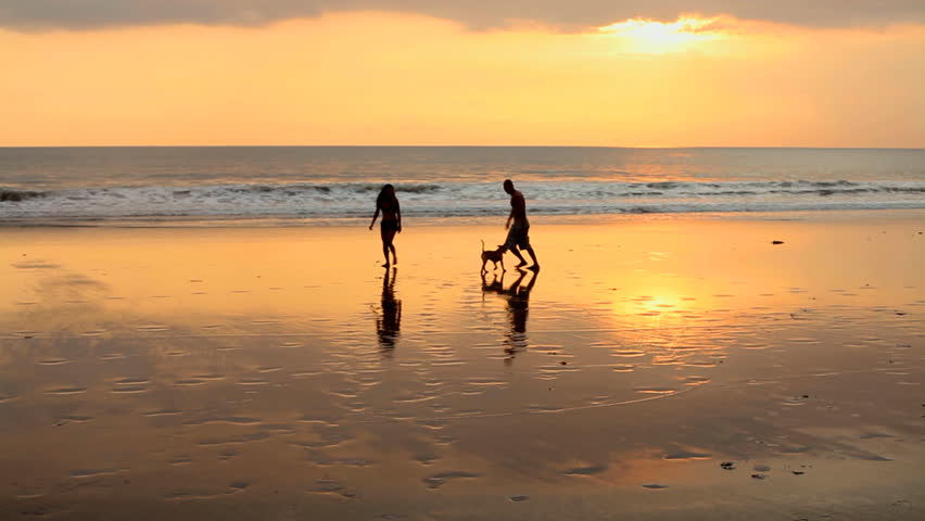 Image result for free images couple walking a dog on the beach
