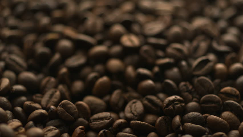 Header of coffee bean