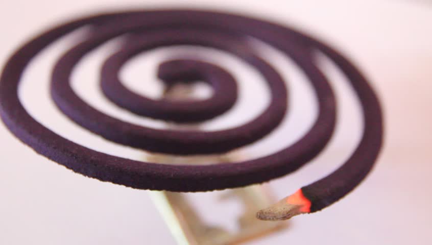 Image result for mosquito coil