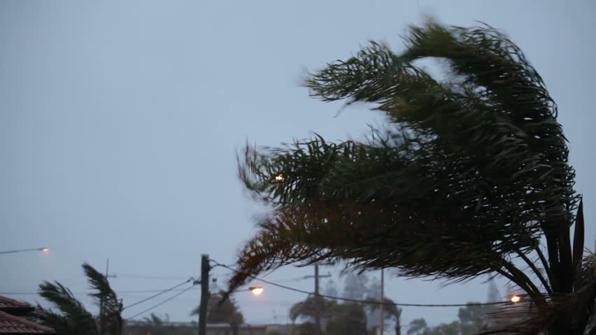 Фото windy day