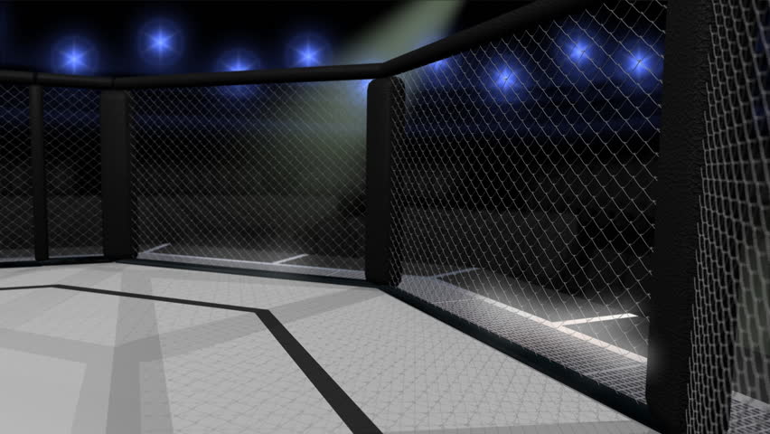 Top Down View Of An Octagon Shaped Fighting Ring - Rotating 360 Degrees