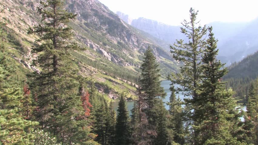 Header of Berta