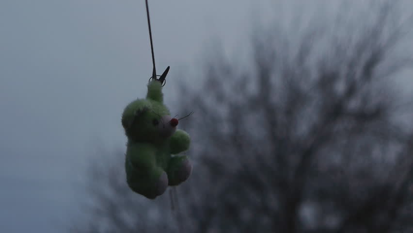 Header of plushy