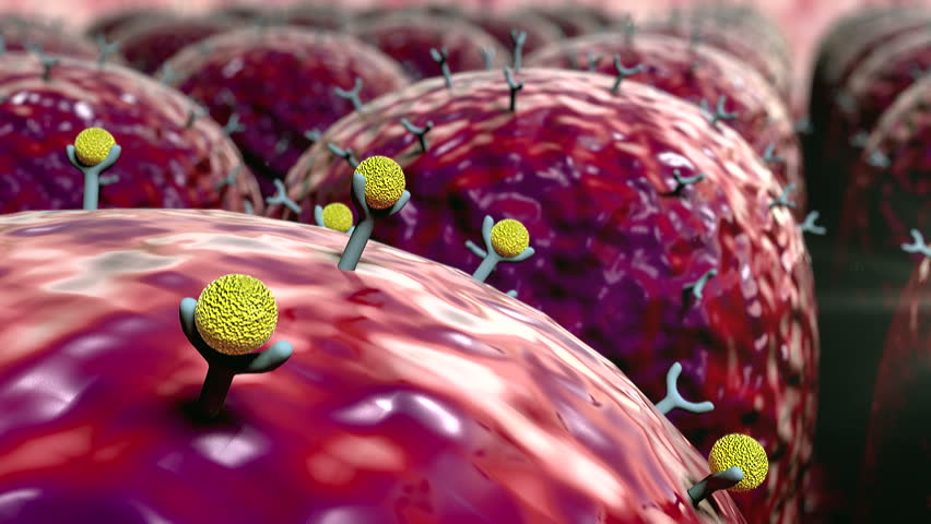 Field of Cells, Field of Stock Footage Video (100% Royalty-free