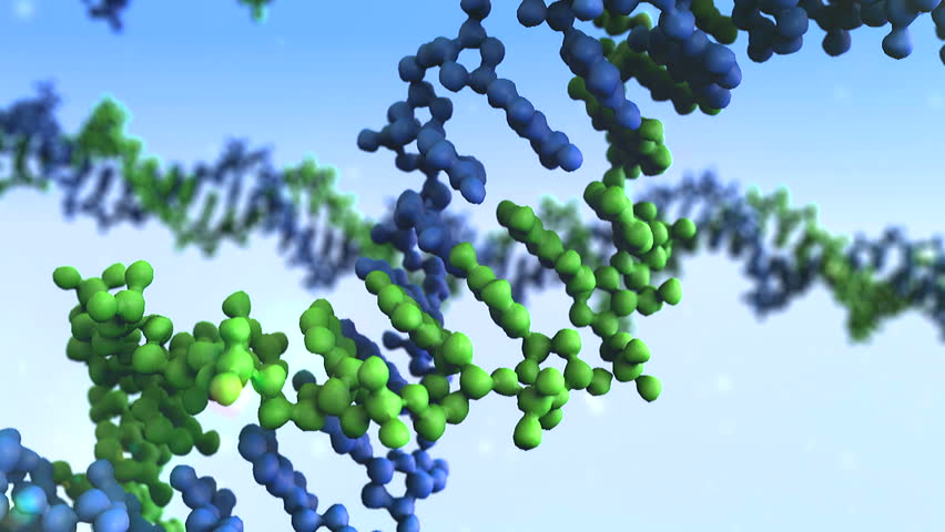 Dna up. Молекулы живой природы. Живые молекулы. Молекулы без ап. Живые молекулы какие.