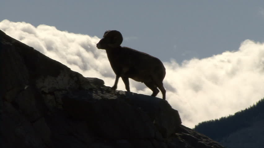 Header of Ram