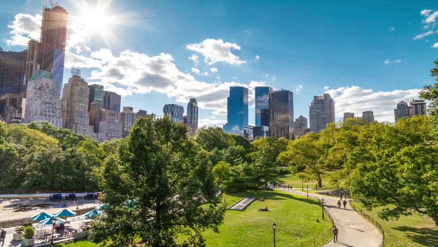 Central Park In New York City - Beautiful Timelapse Of Trees In Midtown ...