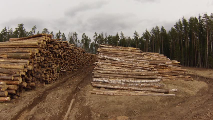 Header of forestry