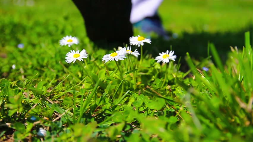 Header of ruthlessly