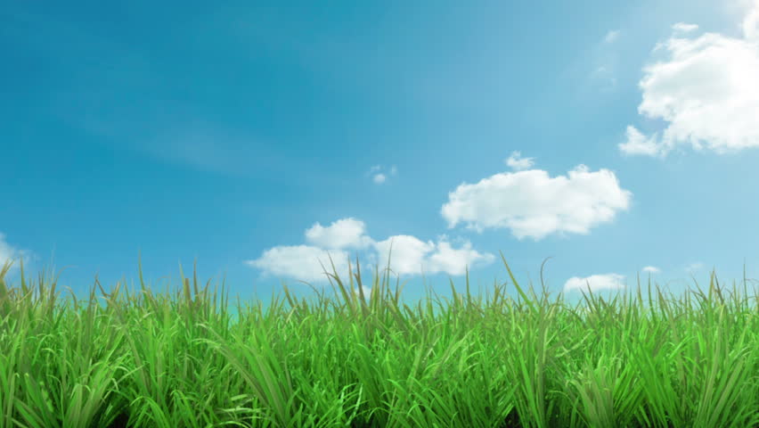 Stock video of gorgeous blue sky with zoom green | 6132152 | Shutterstock