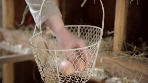 Wire Chicken Basket Stock Video Footage 4k And Hd Video Clips