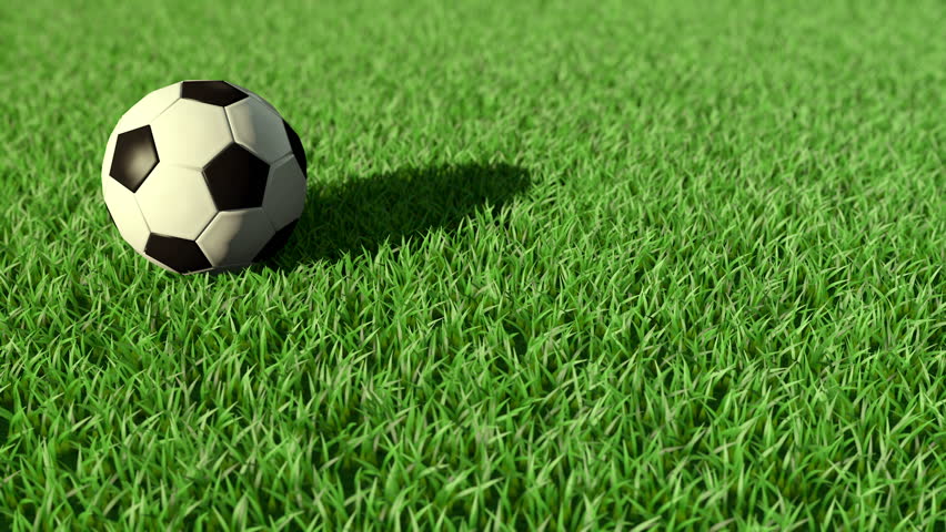 Image result for soccer ball on grass