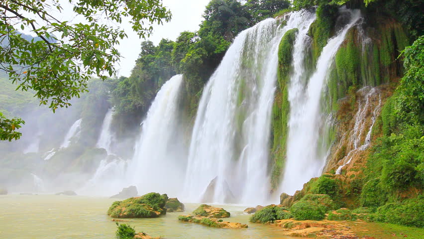 Nature Background Stock Footage Video | Shutterstock