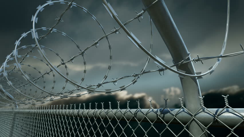 Barbed Wire Fence Barbed Wire Fence