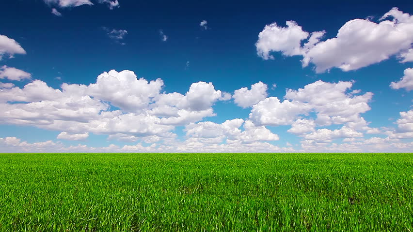 Video field. Green field. Поле зелёной для видео. Field Glasses. Green fields and Blue Sky Lake.