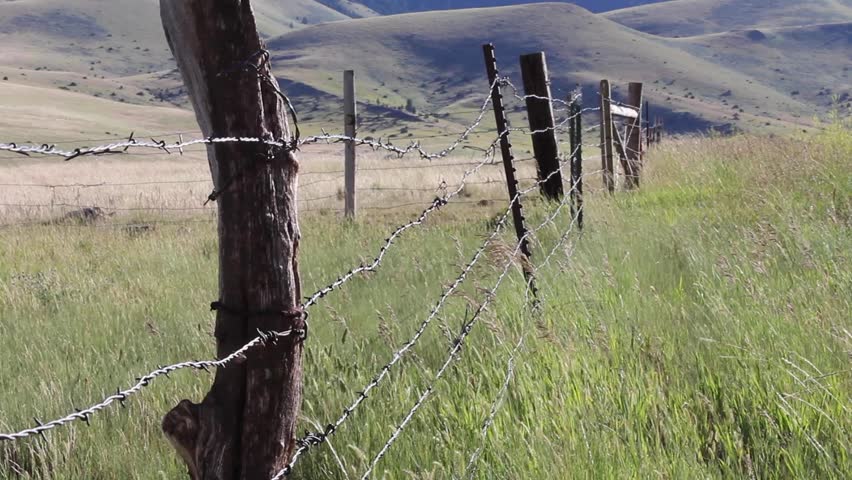 Old Barbed Wire Fence Old Barbed Wire Fence