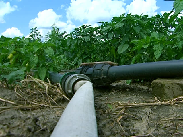 Parts Of The Irrigation System Stock Footage Video 100 Royalty Free   1 