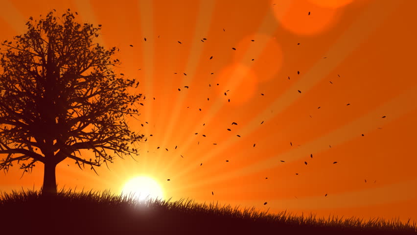 4 Seasons: Fall (Animated Background) Stock Footage Video 711163 ...