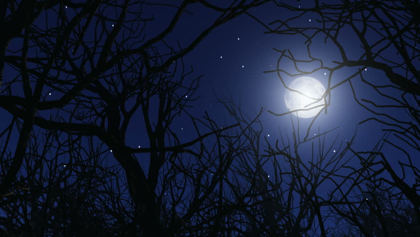 Full Moon Night. Mystic Night Sky. Large Moon Background. Trees ...