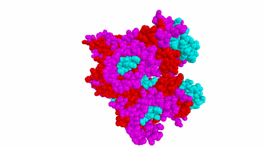 Header of dimer