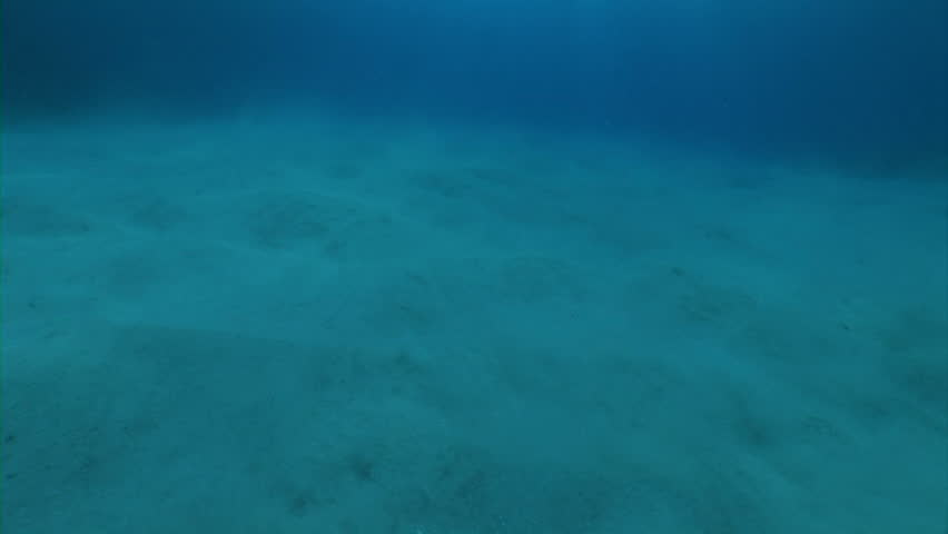 Stock video of sunlight reflected on ocean floor | 773482 | Shutterstock