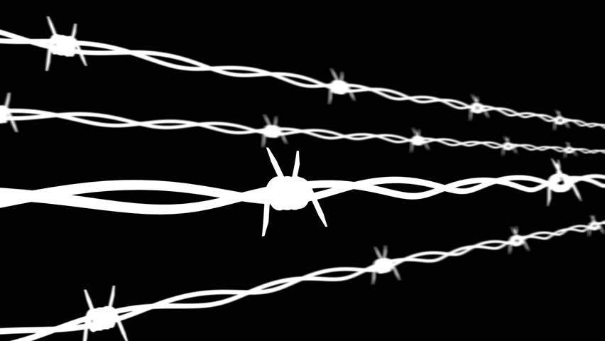 Barbed Wire Wallpaper Barbed Wire Wallpaper