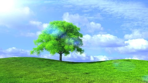 Beautiful Rotating Tree Field Background Stock Footage Video (100%  Royalty-free) 833182 | Shutterstock
