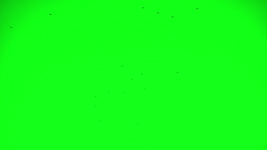 Пыль хромакей