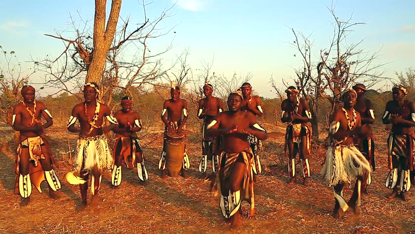 Страсть африканских аборигенов на огромном дереве