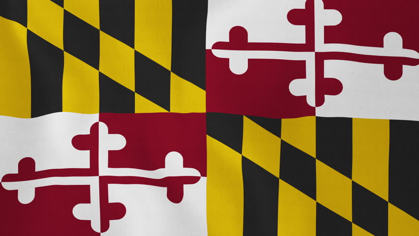 Maryland State Flag Waving Stock Footage Video 2767625 | Shutterstock