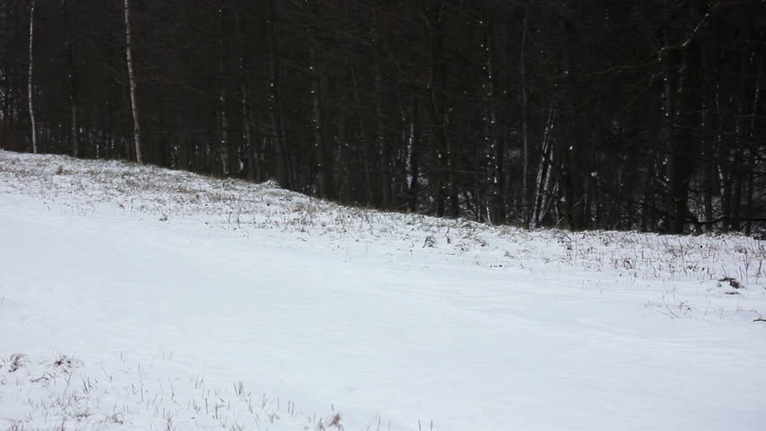 Header of slippy