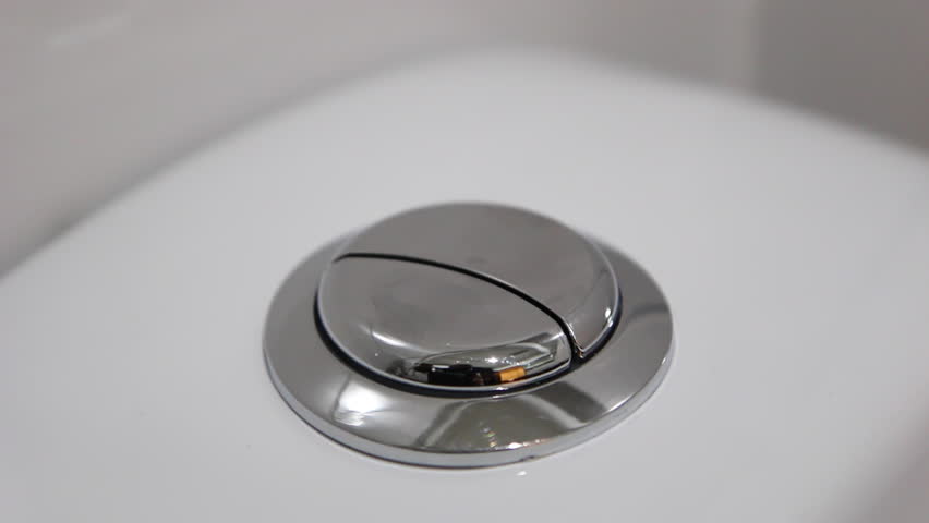 dual flush toilet small button