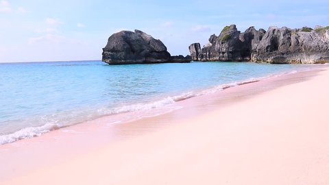 Pink Beach Bermuda Stock Video Footage 4k And Hd Clips Bermuda Pink Sand Beach In Warwick Long Bay With Longtail Bird Aka White Tailed Tropicbird