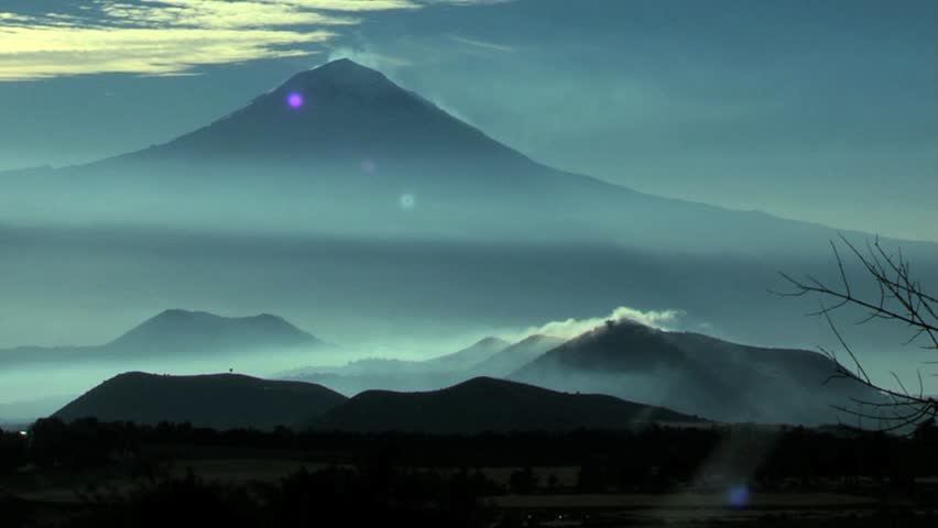 Ash Wood Stock Footage Video | Shutterstock