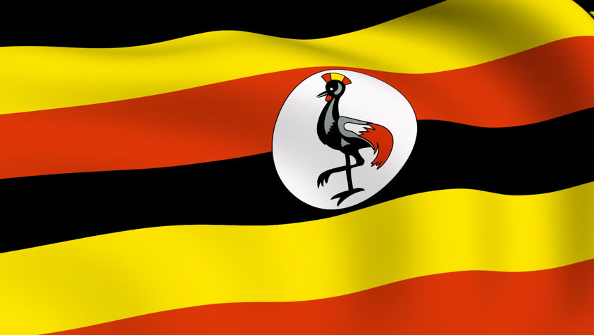 Flying Flag of Uganda Looped Stock Footage Video (100% ...