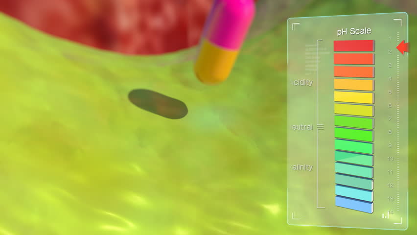 Header of Action Mechanism