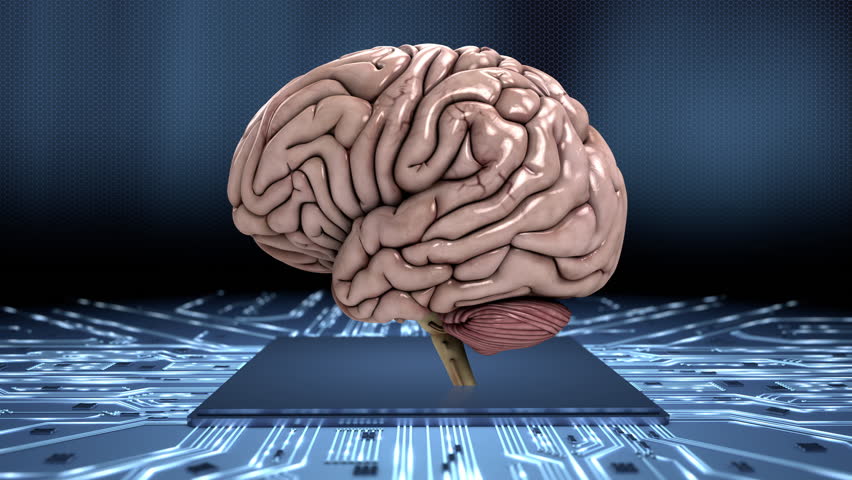 Analyzing The Human Brain Slow Loop Blue Conceptual Animation Showing ...